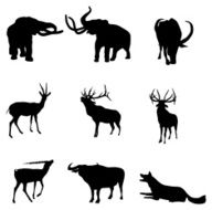 Animals to use in your design N2