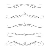 vintage swirl design element set vector illustration