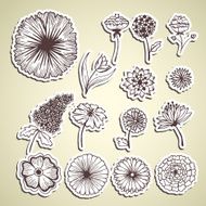 stylish beautiful flower set sticker background concept N2