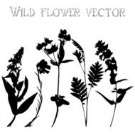 Set silhouettes of wild flowers vector N8
