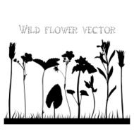 Set silhouettes of wild flowers vector N9