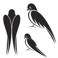 Swallow N6