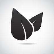 Leaf icon isolated on white background