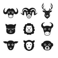 animal face icon set series