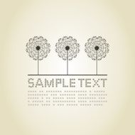 Three dandelions N2