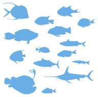 Many different fish to use in your design