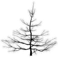 fantastic tree N10