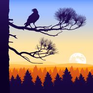 Wilderness Twilight