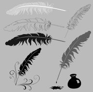 feather N32