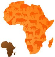 African Animals N17