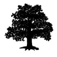 oak tree silhouette with leaves
