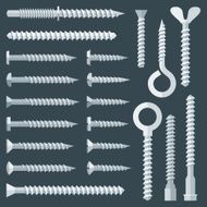 flat various types screw set
