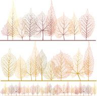 Leaves forest N2