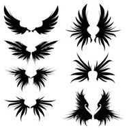 silhouette wing
