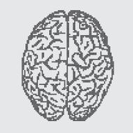 Brain on gray background