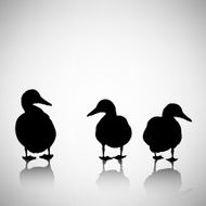 silhouettes of ducks on a light background