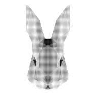 abstract monochrome rabbit portrait of circles isolated on white background N2