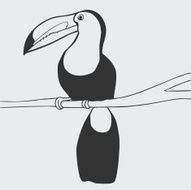 Toucan black and white illustration