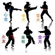 Karate Silhouettes