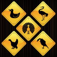 Yellow Signs - Birds N3