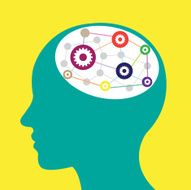 Brain N56