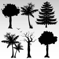 Silhouettes of trees N7