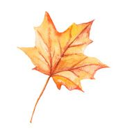 Watercolor autumn leaves N6
