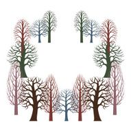 Winter forest N21