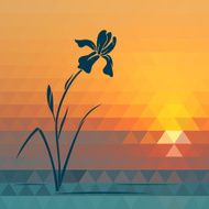 Vector iris on geometric background
