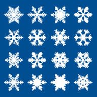 Set of white snowflakes N5