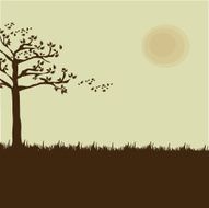 tree autumn N2