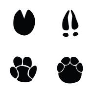 horse hippopotamus deer elephant footprint
