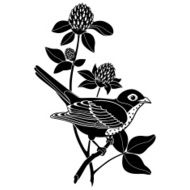 Hermit thrush and red clover