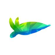 Gem Turtle