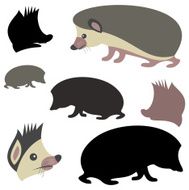 Hedgehog N17