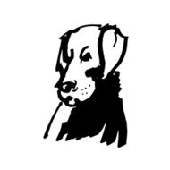Labrador