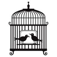 Vector birdcage