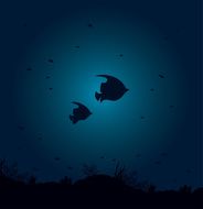 Silhuette of fish