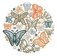 Butterfly Icon Color Circle