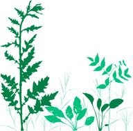 grass background N10