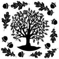 oak tree in black and white