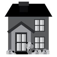 Home design N60