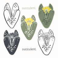 Graphic set with succulents isolated on white background N3