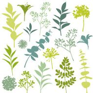Set of Flower and Leaf Silhouette Design Elements