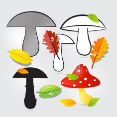 Mushroom and Leaves Collection