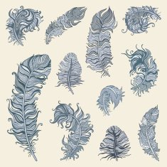 Feather set N19
