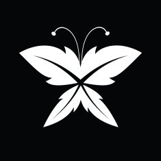 butterfly N124