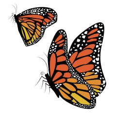 butterfly N125