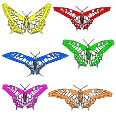 Butterflies N79