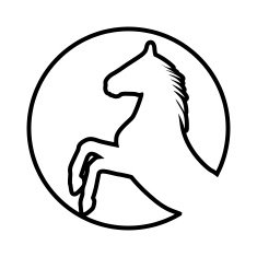 Horse N107